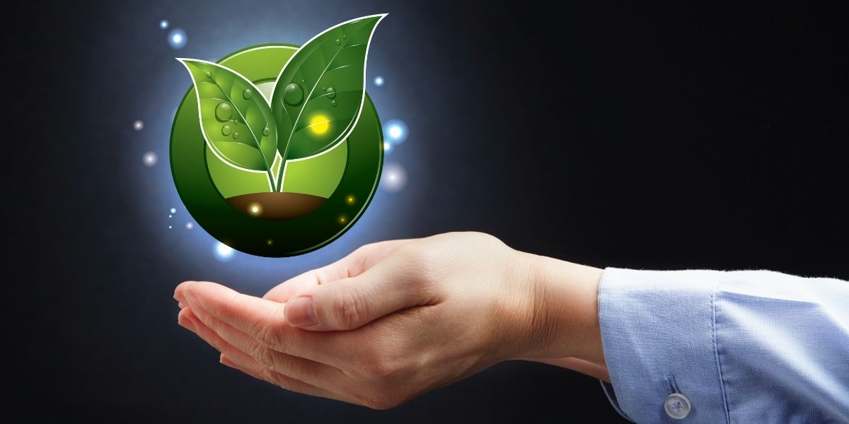 La transition écologique : un enjeu capital à l'ère moderne